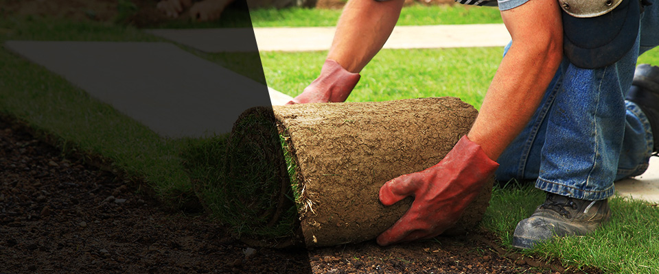 Friendsville Landscapers